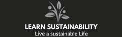 design and digital marketing for a sustainable company